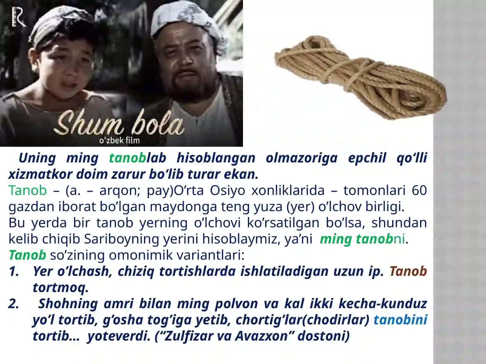 6-sinf Adabiyot dars taqdimot. G'afur G'ulom Shum bola qissasidan parcha 4