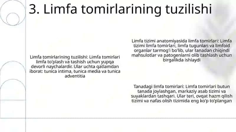 Limfa Sistemasi Anatomiyasi 4