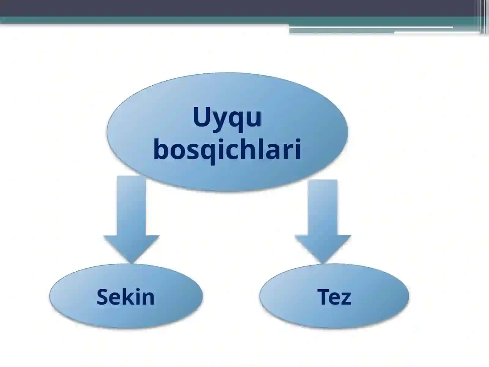 8-sinf Biologiya fanidan Nerv faoliyati tiplari, nerv sistemasi gigiyenasi ochiq dars ishlanma 4