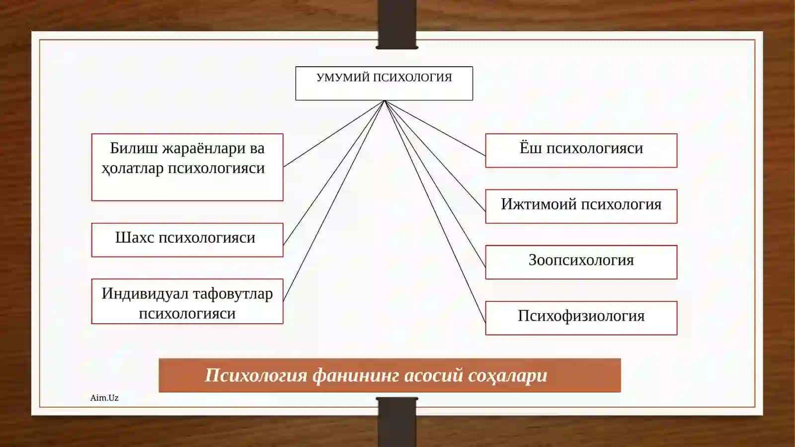 Ҳозирги замон психологиясининг тузилиши ва тадқиқот методлари 4