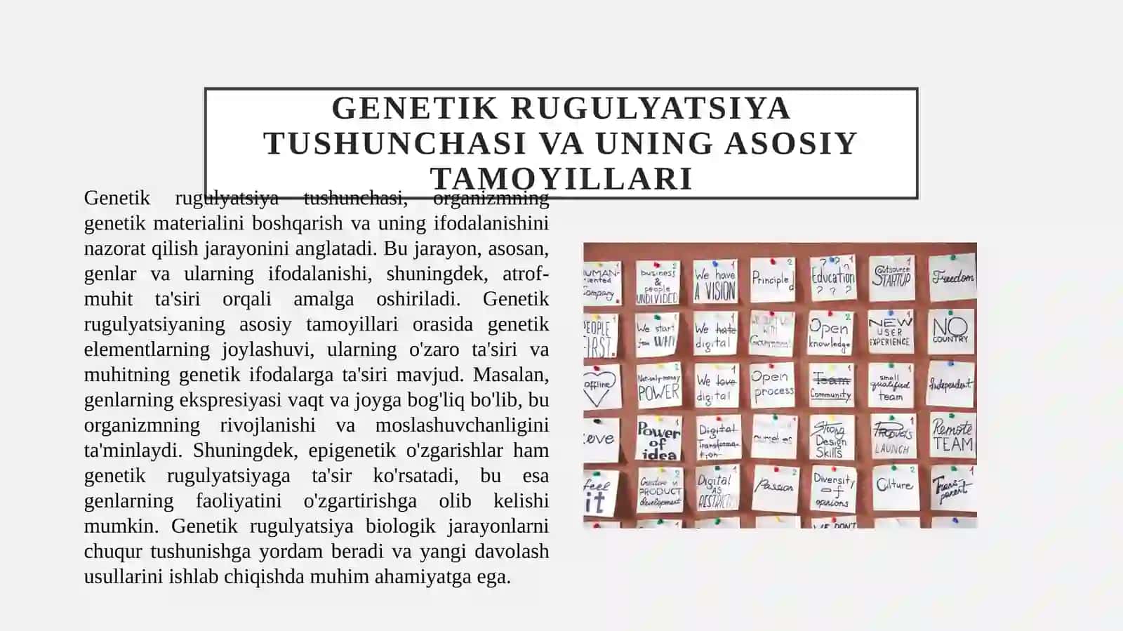 Biokimyoviy jarayonlarning genetik rugulyatsiyasi 4