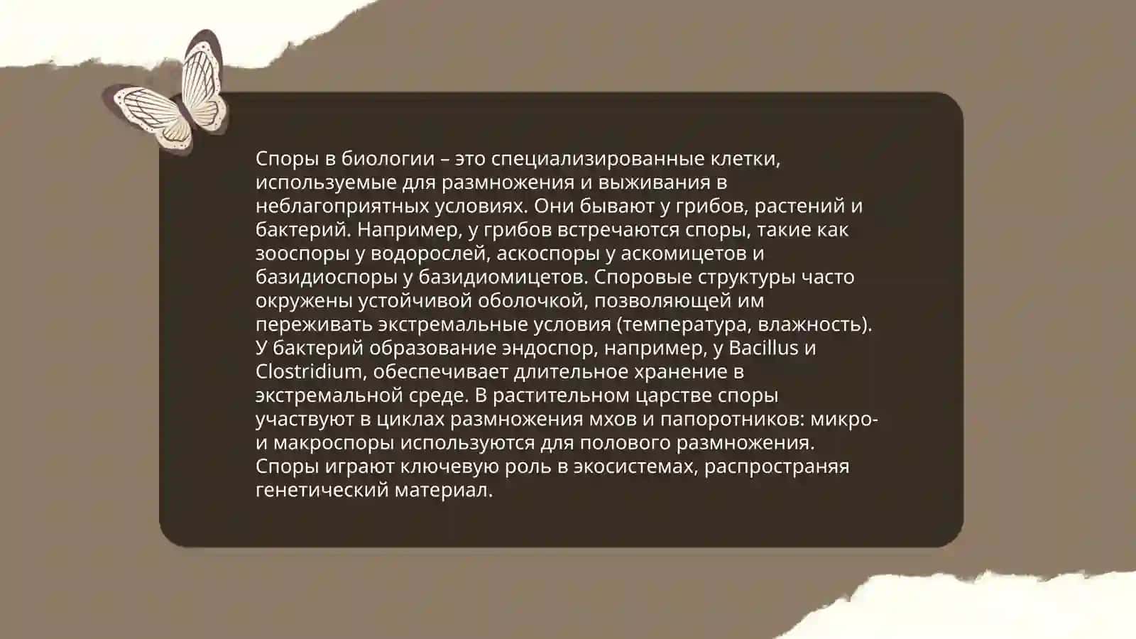 Понятие о споре. Типы споров. Ведение споров 4
