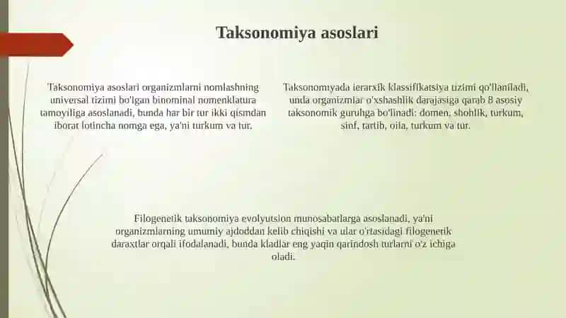 O'simliklar klassifikatsiyasi tizimlari 4
