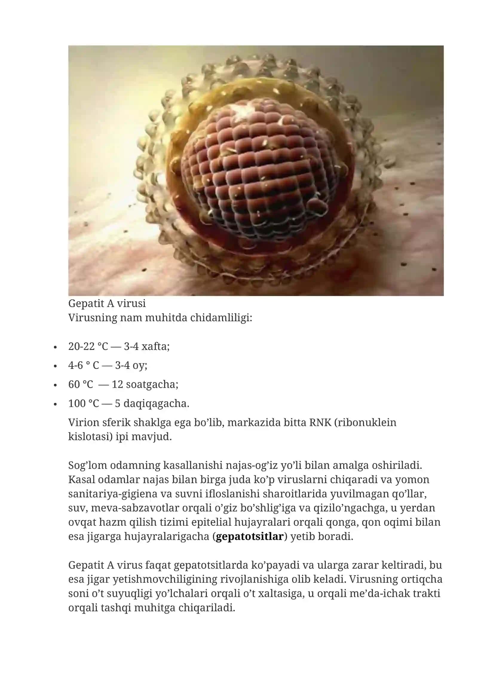 Virusli kasalliklar 4