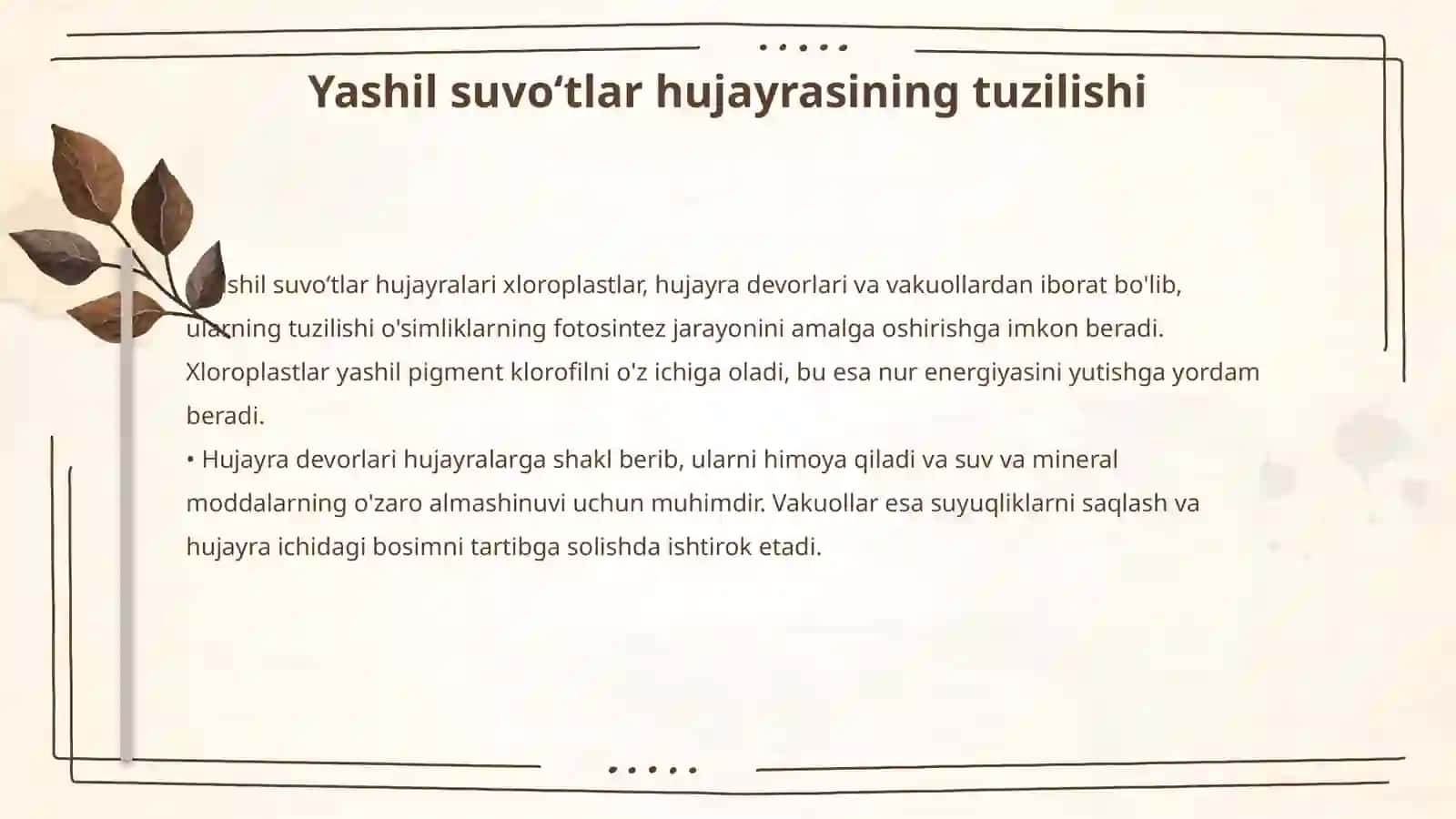 Yashil suvoʻtlariga umumiy taʼrif, hujayrasining tuzilishi va koʻpayish usullari 4