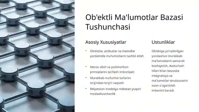 Ob'ektli Ma'lumotlar Bazasi: Loyihalash, Qayta Ishlash va Tadqiq Qilish 4