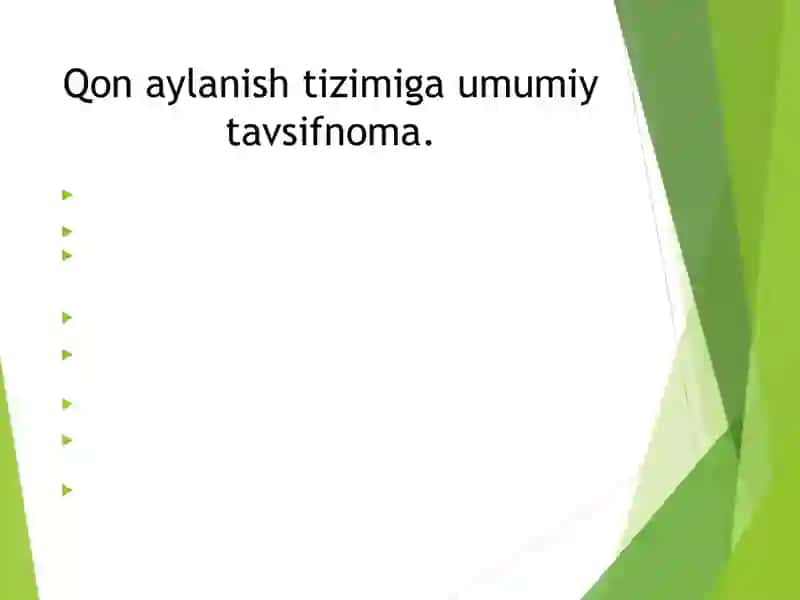 Yurak anatomyasi 4
