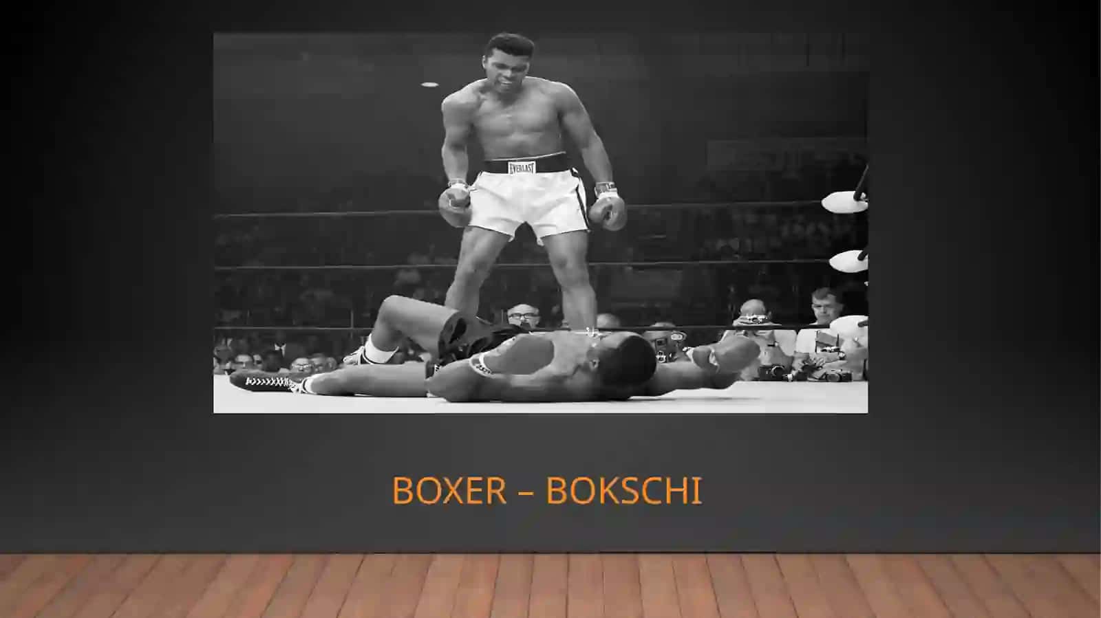 Boxer – bokschi 4