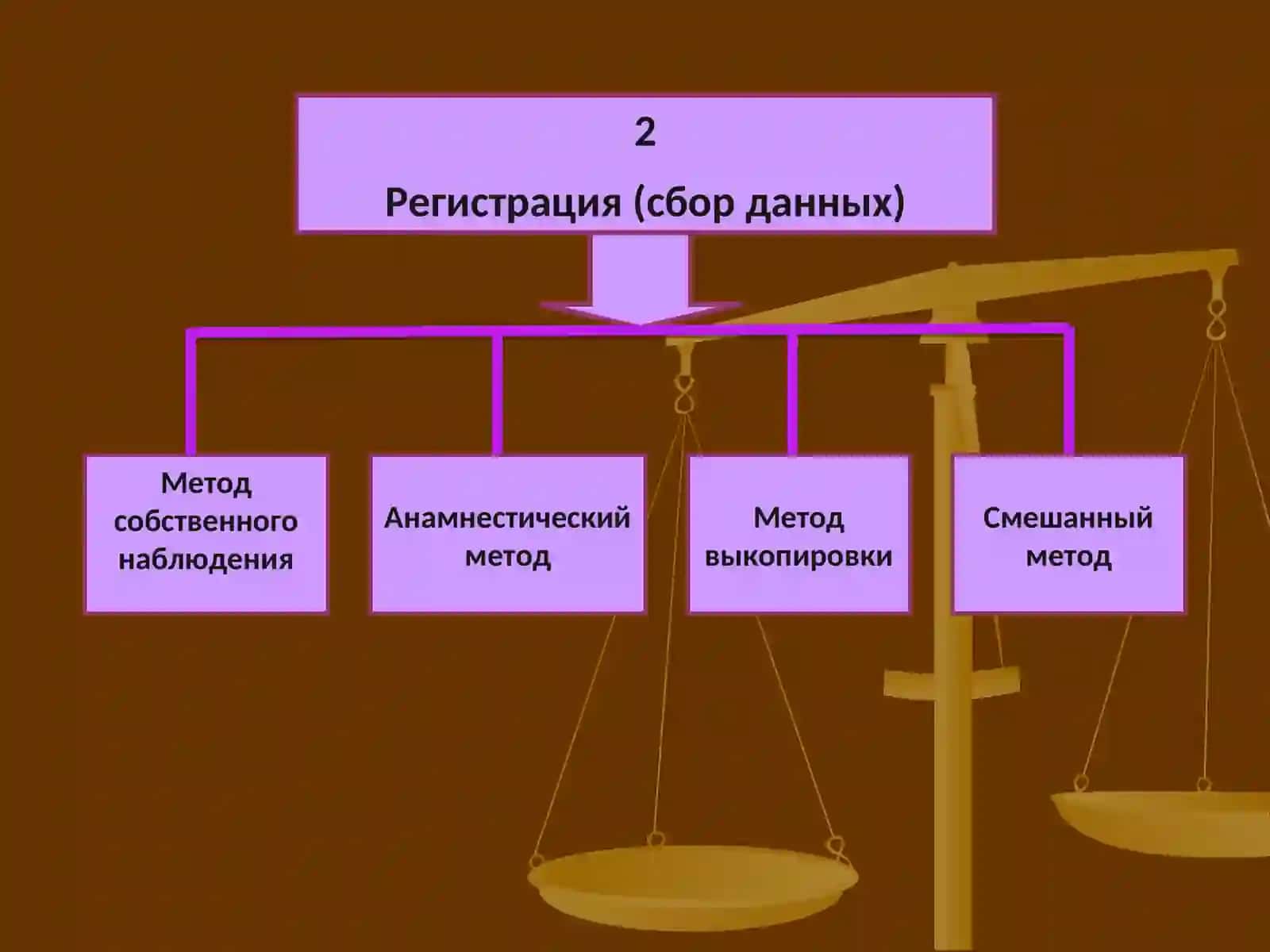 Организация статистического исследования 4