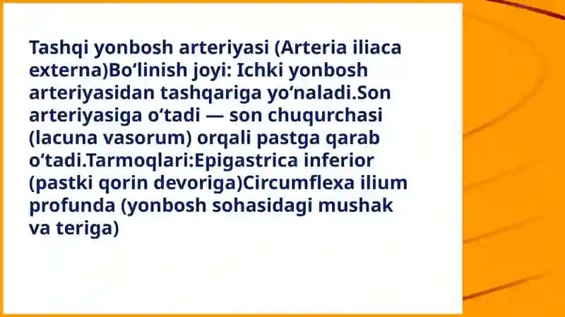 Umumiyyon bosh arteriyasi 4