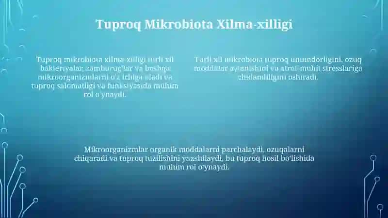 Tuproq hosil bo'lishida mikroorganizmlar ahamiyati 4