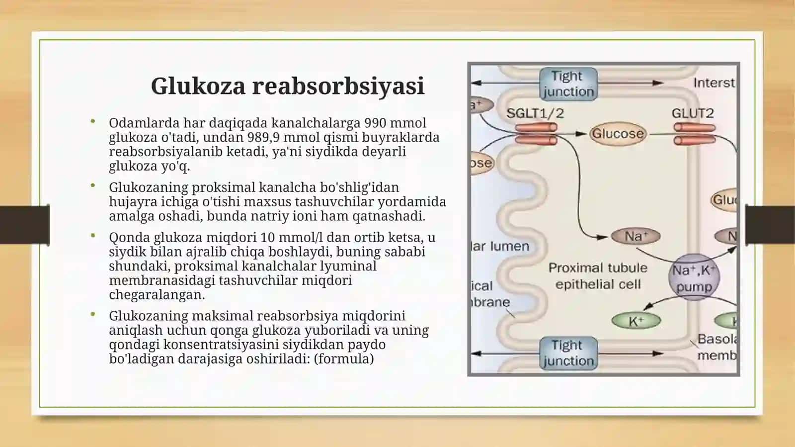 Reabsorbsiya jarayoni 4
