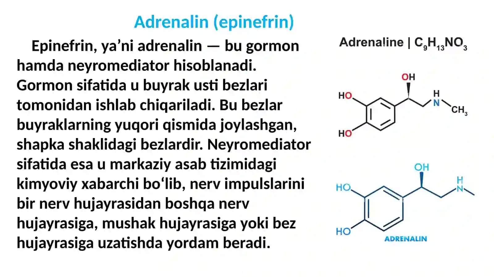 Adrenalin va noradrenalinning farqlari 4
