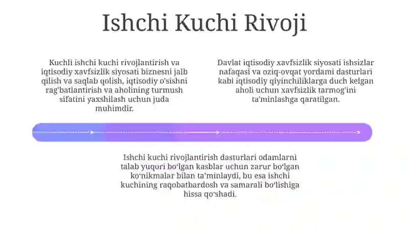 Davlatning iqtisodiy xavfsizligini ta' minlash siyosati 4