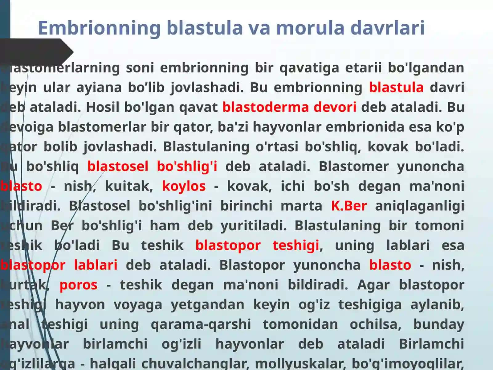 IMPLANTATSIYA. MAYDALANISH.BLASTULA, MORULA, NEYRULA.GASTRULA VA UNING TIPLARI. EMBRIONAL VARAQLARINI HOSIL BO’LISHI 4