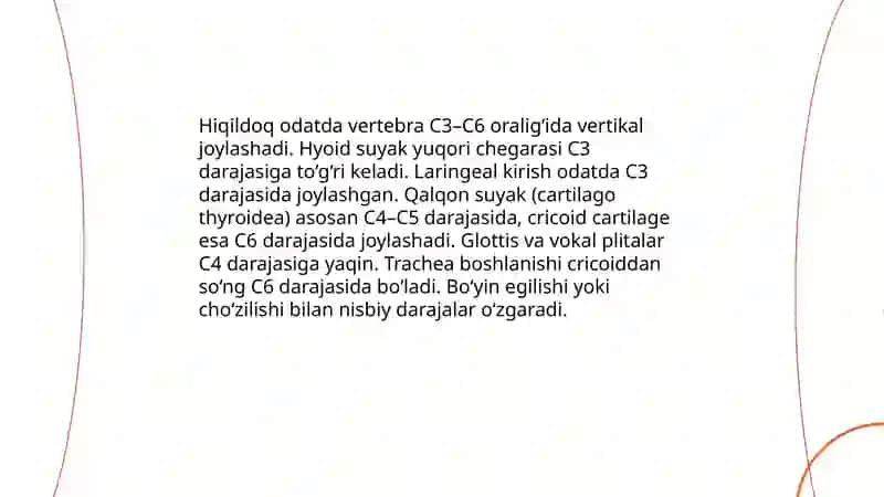 Hiqildoq: Joylashuvi, topografiyasi va qon tomirlari 4
