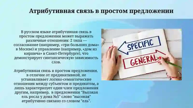 Атрибутивные отношения в структуре словосочетания, простом и сложном предложениях 4
