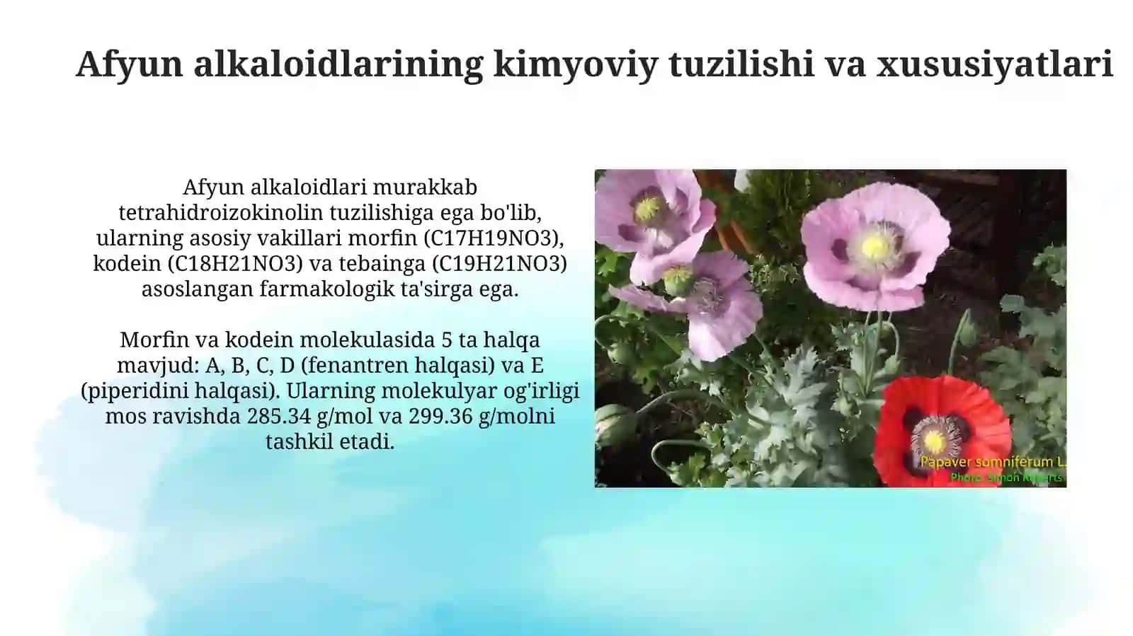 Opiy alkaloidlari. Toksikologik ahamiyati, ajratib olish, tahlil usullari 4
