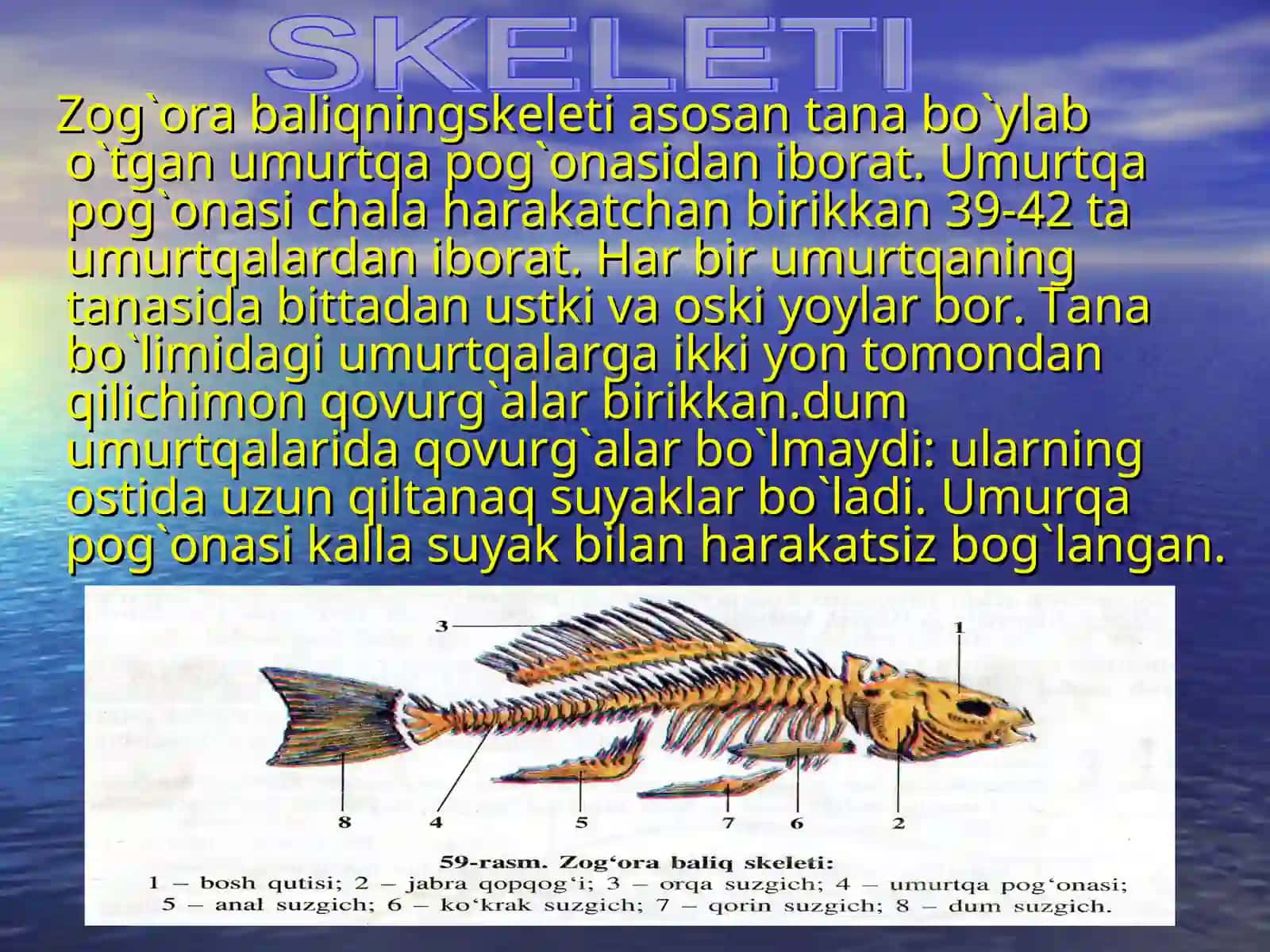 Yormozor akademik litseyi biologiya fanlari 4