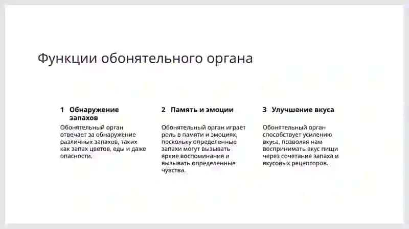 обонятельный орган 4