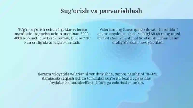 Valeriana oʻsimligini yetishtirish texnologiyasi 4