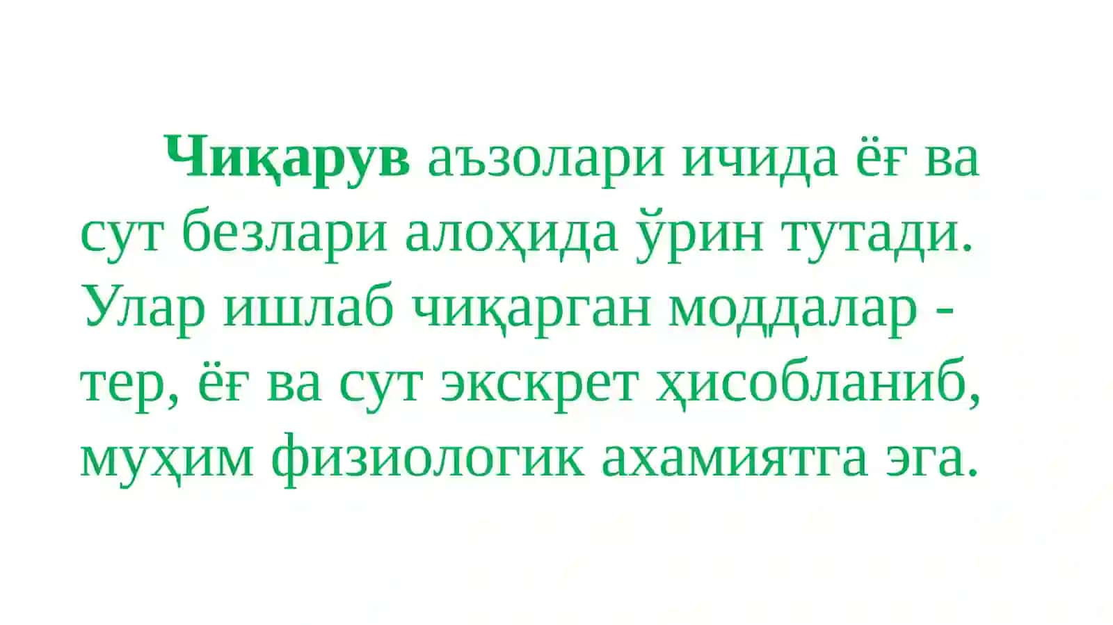 Айирув тизими. Буйракнинг тузилиши ва физиологияси 4