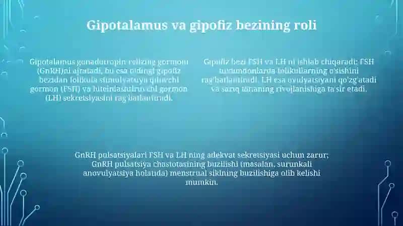 Jinsiy siklning gormonal boshqaruv mexanizmi 4