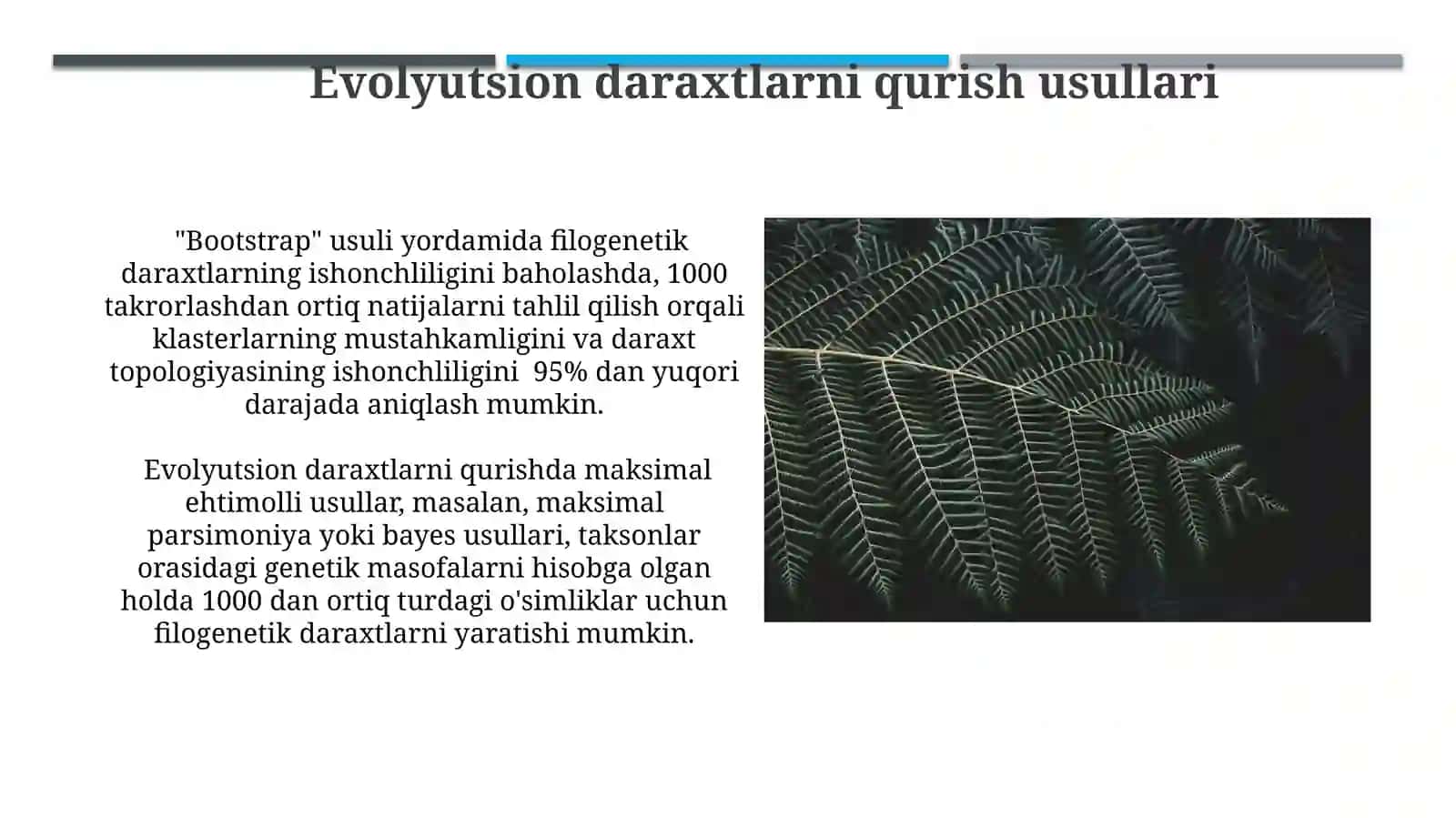 Evolyutsion nazariyaning o‘simliklar sistematikasi rivojlanishidagi ahamiyati 4