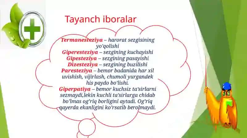 Sezish, harakat qilish va sklet tizimini baholash 4