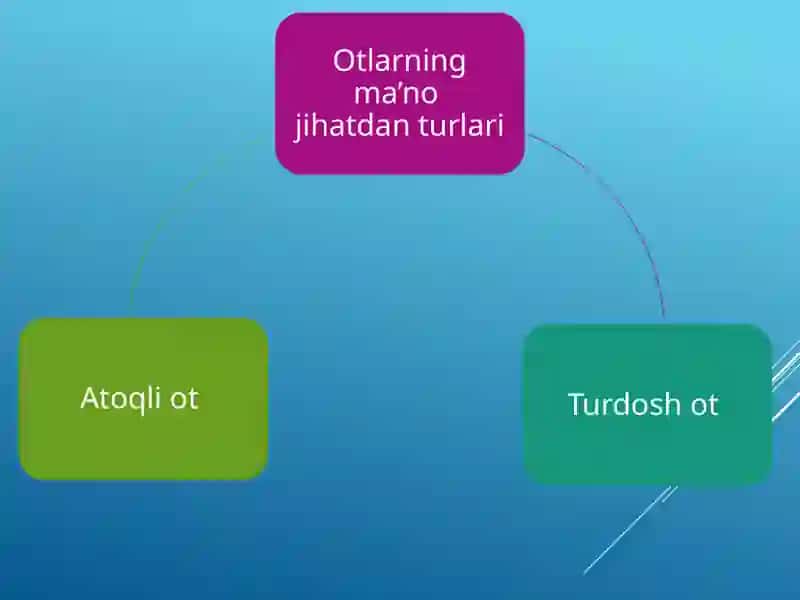Ot so’z turkumi. Otning grammatik ma’nosi 4