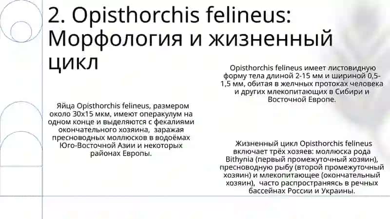 Opisthorchis felineus, Schistosoma mansoni, Schistosoma haematobium, Schistosoma japonicum 4