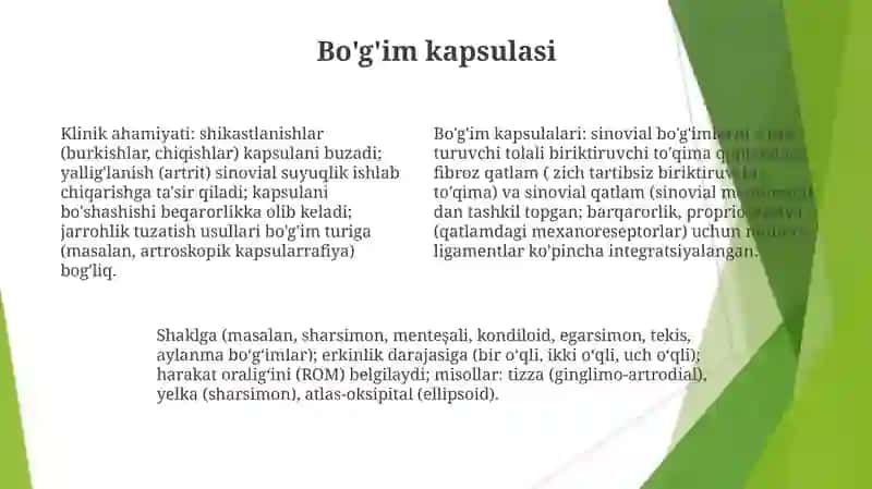 Tam bilish azosining morfofunksional tasnifi 4