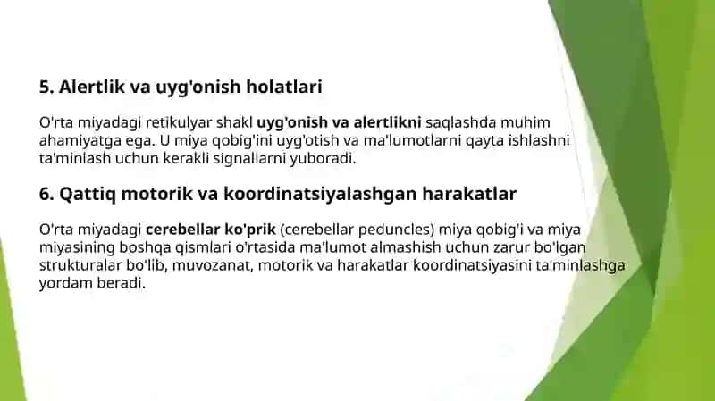 Oʻrtamiya— boshmiyaningoraliqmiyabilanVaroliykoʻprigioʻrta 4
