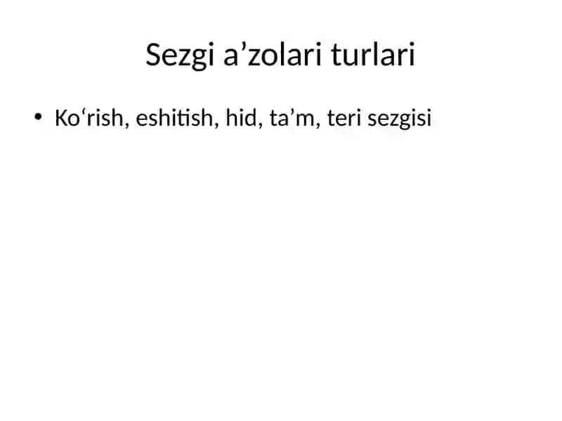Sezgi a’zolari 4