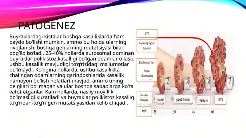 Buyrakpolikistozi 4