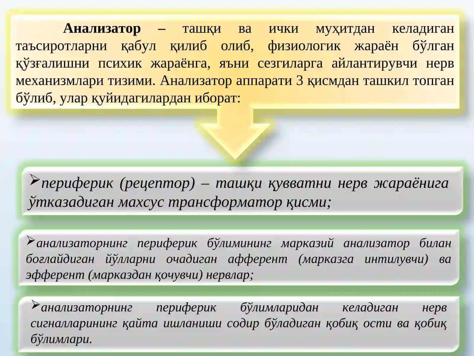 БИЛИШ ЖАРАЁНЛАРИ 4