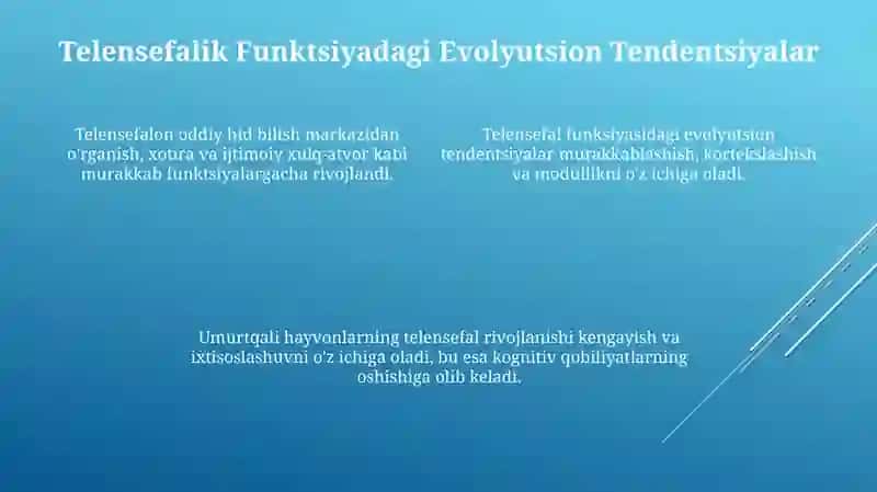 Umurtqali hayvonlarda telensefalonning rivojlanishi 4