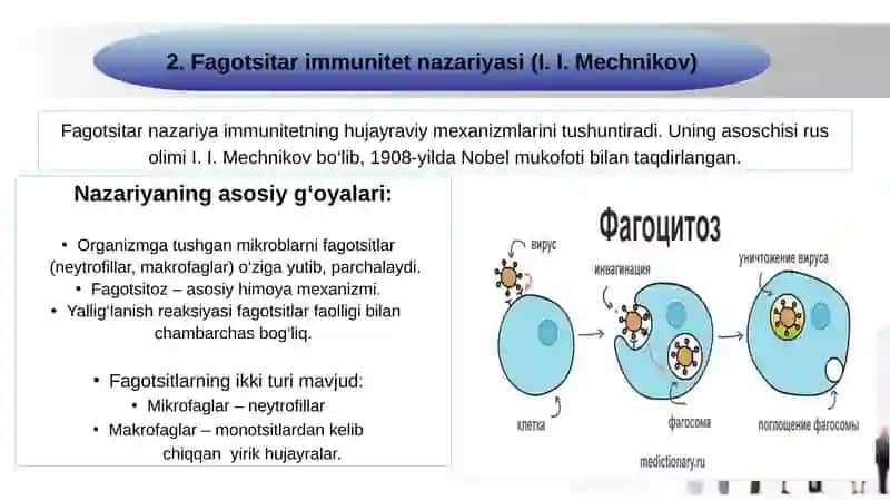 Immunitet (teoriyadari) g‘oyalari: fagotsitar, gumoral, klonal - seliksion va bosh.  Asosiy gistomoslashuv kompleksining birinchi sinfi- HLA-A, -B va -C tip molekulalari, vazifasi. 4