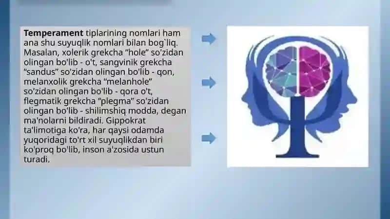 Psixologiyada shaxsning tuzilishi va temperament turlari 4