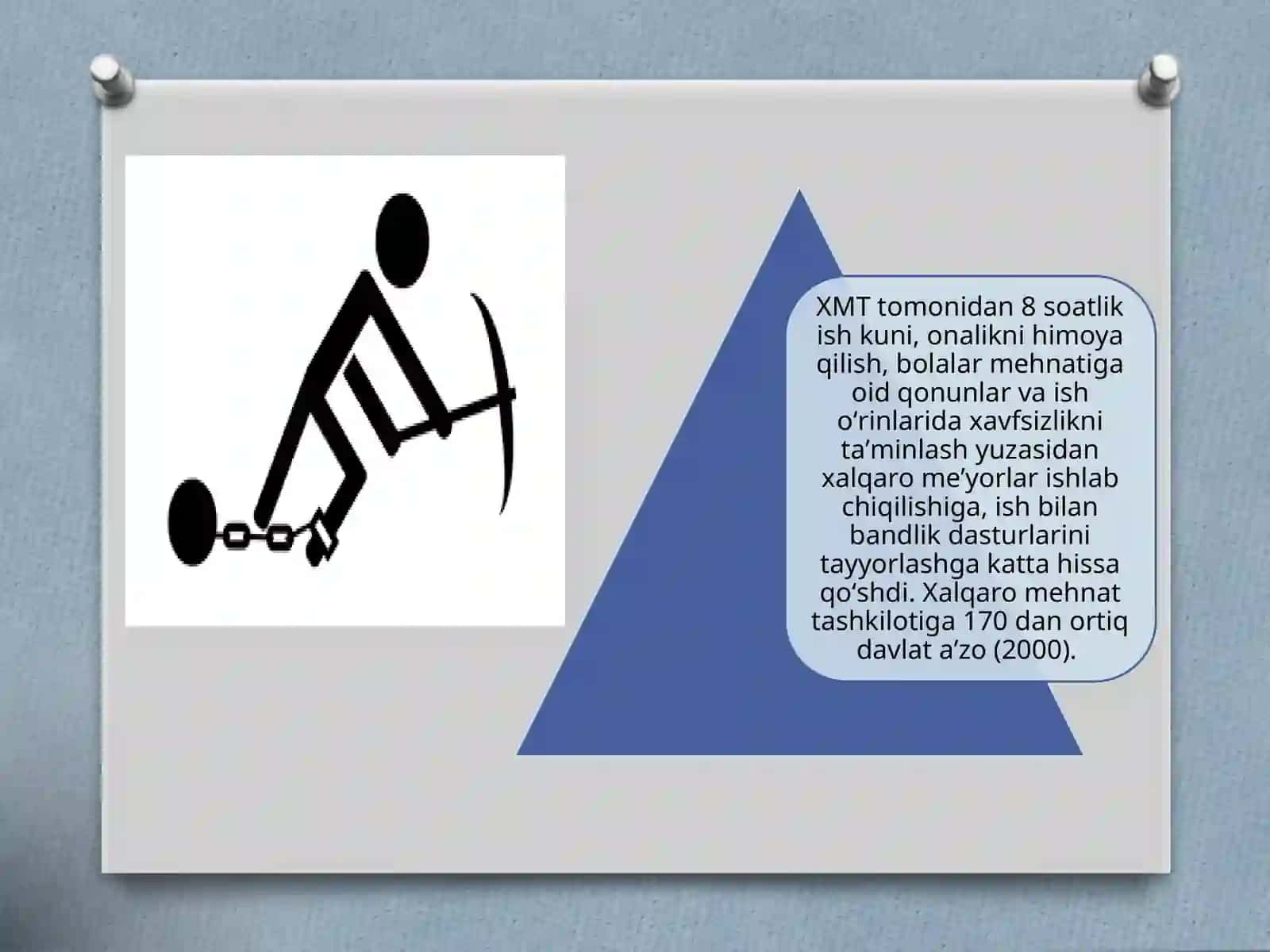 Xalqaromehnattashkiloti (XMT) 4