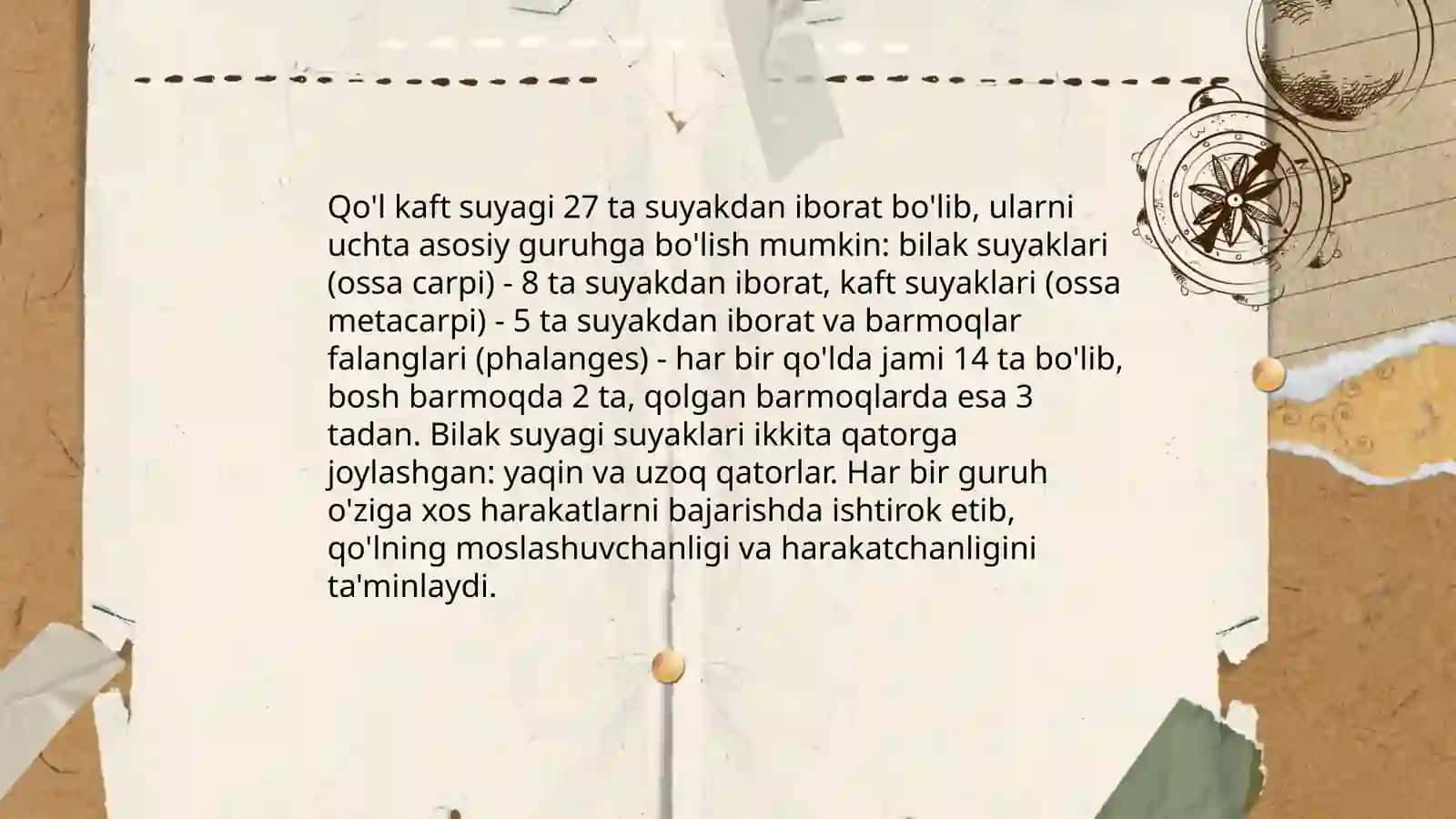 Qo'lning erkin suyaklari birlashmalari 4
