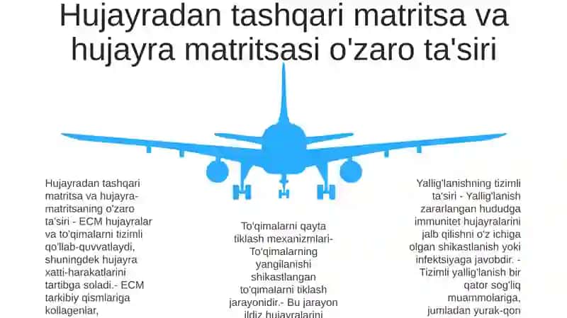 Yallig'lanishni Tizimli Tasirlari 4