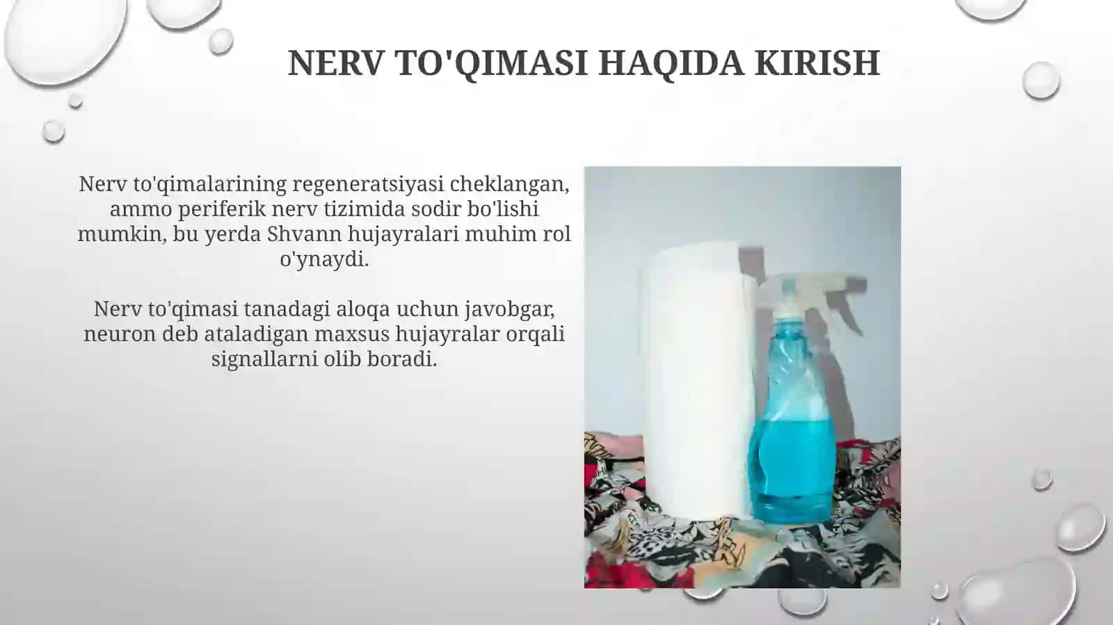 Nervto'qima-regeneratsiyasi,nervuchlari-sinapslar,neyromediatorlar 4