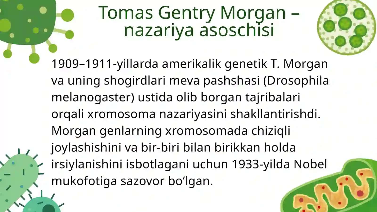 Irsiyatning xromosoma nazariyasi: T. Morgan tajribalari va nazariyaning asosiy qoidalari 4