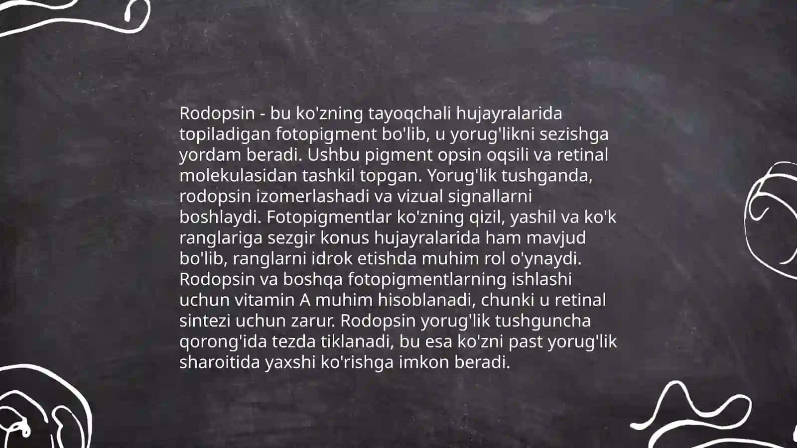 Fotoretseptorlarning morfologik asoslari 4