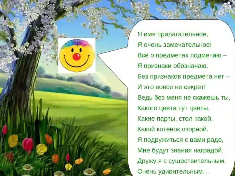 Тема 3. Как описать предмет по внешнему виду? 4
