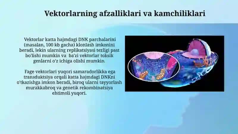 Plazmid va Fag Vektorlari haqida tushuncha 4