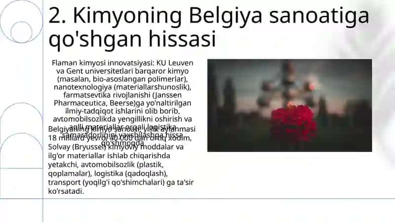 Belgiyaning Moliya, Logistika va Transporti 4