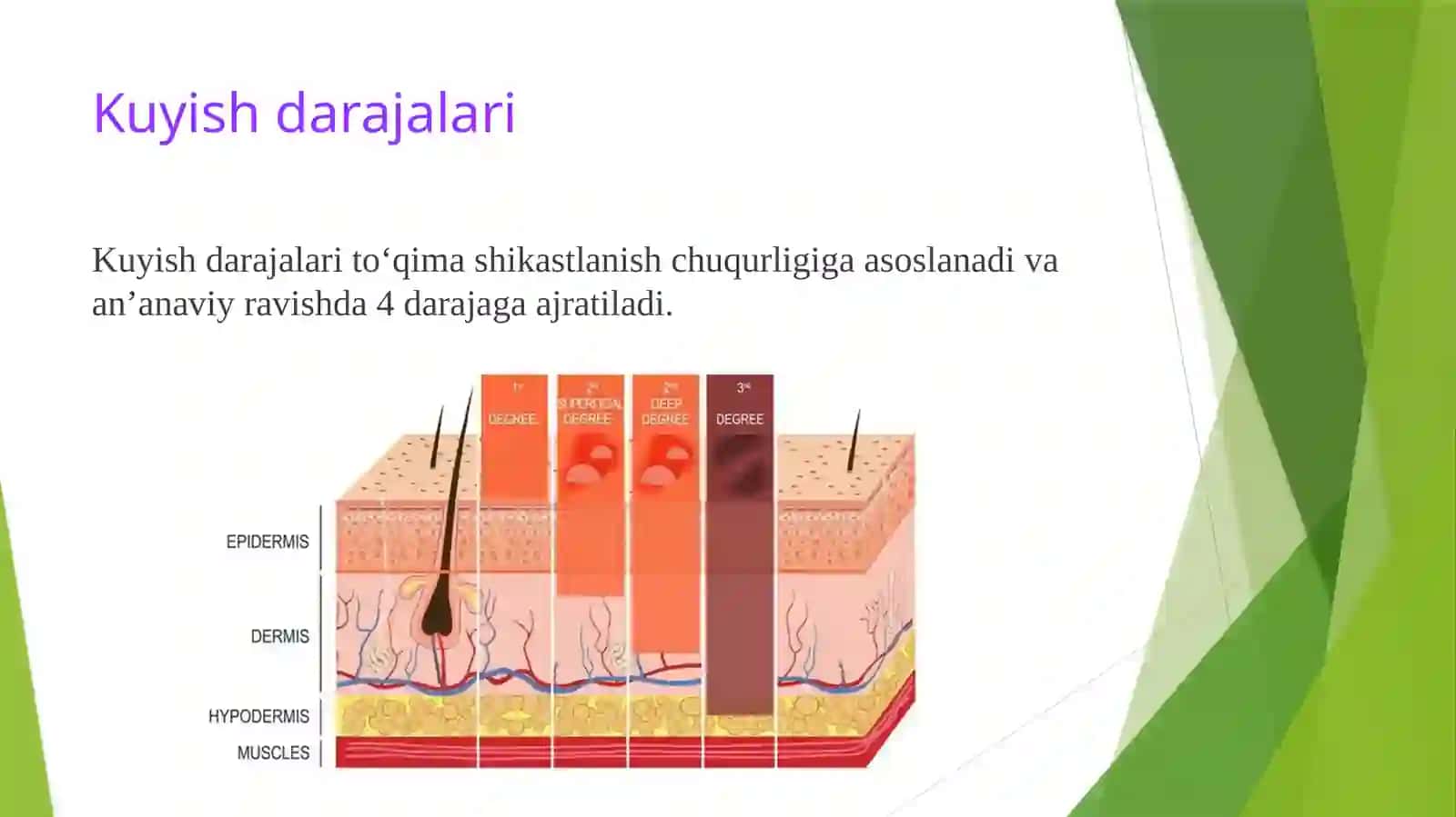 Kuyish tasnifi, darajalari va birinchi yordam algoritmi 4