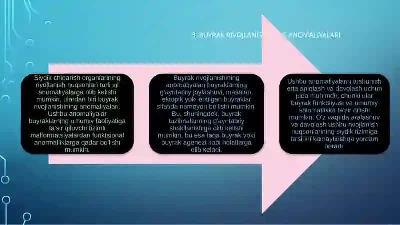 Siydikayiruva’zolariningrivojlanishnuqsonlari 4